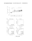 TISSUE & BLOOD-BASED MIRNA BIOMARKERS FOR THE DIAGNOSIS, PROGNOSIS AND     METASTASIS-PREDICTIVE POTENTIAL IN COLORECTAL CANCER diagram and image