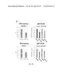 TISSUE & BLOOD-BASED MIRNA BIOMARKERS FOR THE DIAGNOSIS, PROGNOSIS AND     METASTASIS-PREDICTIVE POTENTIAL IN COLORECTAL CANCER diagram and image