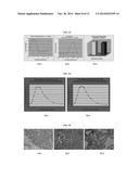 HUMAN HOMEOBOX GENE VENTX AND MACROPHAGE TERMINAL DIFFERENTIATION AND     ACTIVATION, COMPOSITIONS AND METHODS THEREOF diagram and image