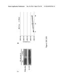 Hepatitis Virus Culture Systems Using Stem Cell-Derived Human     Hepatocyte-Like Cells and Their Methods of Use diagram and image