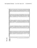 METHODS FOR DETECTING FETAL NUCLEIC ACIDS AND DIAGNOSING FETAL     ABNORMALITIES diagram and image