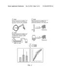 COMPOSITION FOR DIAGNOSING, TREATING, AND PREVENTING AGE-RELATED MACULAR     DEGENERATION AND METHOD FOR DIAGNOSING AGE-RELATED MACULAR DEGENERATION diagram and image