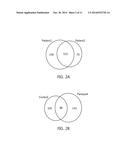 COMPOSITION FOR DIAGNOSING, TREATING, AND PREVENTING AGE-RELATED MACULAR     DEGENERATION AND METHOD FOR DIAGNOSING AGE-RELATED MACULAR DEGENERATION diagram and image