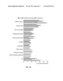 COMPOSITION FOR DIAGNOSING, TREATING, AND PREVENTING AGE-RELATED MACULAR     DEGENERATION AND METHOD FOR DIAGNOSING AGE-RELATED MACULAR DEGENERATION diagram and image