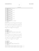 CLONABLE TAG FOR CORRELATIVE LIGHT AND ELECTRON MICROSCOPY LABELING diagram and image