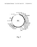 Polypeptides Having Endoglucanase Activity And Polynucleotides Encoding     Same diagram and image