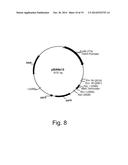 Polypeptides Having Endoglucanase Activity And Polynucleotides Encoding     Same diagram and image