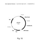 Polypeptides Having Endoglucanase Activity And Polynucleotides Encoding     Same diagram and image