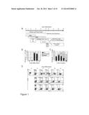 POPULATIONS OF HEMATOPOIETIC PROGENITORS AND METHODS OF ENRICHING STEM     CELLS THEREFOR diagram and image