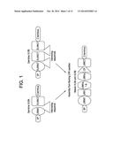 LAMBODIES WITH HIGH AFFINITY AND SELECTIVITY FOR GLYCANS AND USES THEREFOR diagram and image