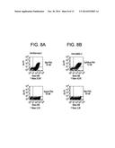 LAMBODIES WITH HIGH AFFINITY AND SELECTIVITY FOR GLYCANS AND USES THEREFOR diagram and image