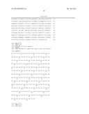 LAMBODIES WITH HIGH AFFINITY AND SELECTIVITY FOR GLYCANS AND USES THEREFOR diagram and image