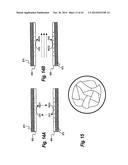 SENSITIVE AND RAPID DETERMINATION OF ANTIMICROBIAL SUSCEPTIBILITY diagram and image