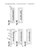 SENSITIVE AND RAPID DETERMINATION OF ANTIMICROBIAL SUSCEPTIBILITY diagram and image