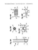 SENSITIVE AND RAPID DETERMINATION OF ANTIMICROBIAL SUSCEPTIBILITY diagram and image