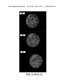 CELL-BASED ARRAYS, METHODS OF MAKING, AND METHODS OF USING diagram and image