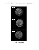 CELL-BASED ARRAYS, METHODS OF MAKING, AND METHODS OF USING diagram and image