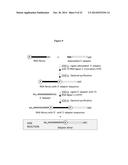 Chemically Modified Ligase Cofactors, Donors and Acceptors diagram and image