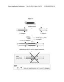 Chemically Modified Ligase Cofactors, Donors and Acceptors diagram and image