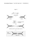 Chemically Modified Ligase Cofactors, Donors and Acceptors diagram and image