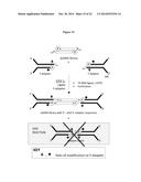 Chemically Modified Ligase Cofactors, Donors and Acceptors diagram and image