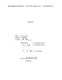 Chemically Modified Ligase Cofactors, Donors and Acceptors diagram and image