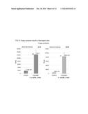 CARTILAGE PRODUCTION PROMOTER AND PROPHYLACTIC OR THERAPEUTIC AGENT FOR     DISEASES ASSOCIATED WITH CARTILAGE DAMAGE diagram and image