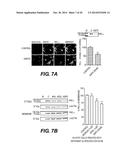 ESTERS OF DCPLA AND METHODS OF TREATMENT USING THE SAME diagram and image