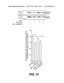 ESTERS OF DCPLA AND METHODS OF TREATMENT USING THE SAME diagram and image