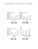 ESTERS OF DCPLA AND METHODS OF TREATMENT USING THE SAME diagram and image