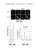 ESTERS OF DCPLA AND METHODS OF TREATMENT USING THE SAME diagram and image