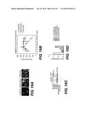 ESTERS OF DCPLA AND METHODS OF TREATMENT USING THE SAME diagram and image