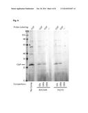 BETA-O/S/N FATTY ACID BASED COMPOUNDS AS ANTIBACTERIAL AND ANTIPROTOZOAL     AGENTS diagram and image