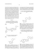 KINASE INHIBITORS diagram and image