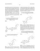 KINASE INHIBITORS diagram and image