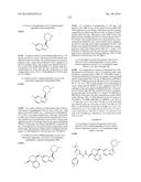 KINASE INHIBITORS diagram and image