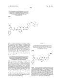 KINASE INHIBITORS diagram and image