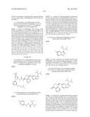 KINASE INHIBITORS diagram and image