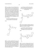 KINASE INHIBITORS diagram and image