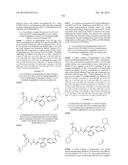 KINASE INHIBITORS diagram and image