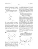 KINASE INHIBITORS diagram and image