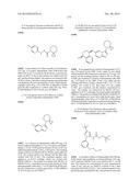 KINASE INHIBITORS diagram and image