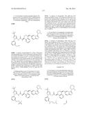 KINASE INHIBITORS diagram and image