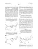 KINASE INHIBITORS diagram and image