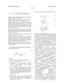 KINASE INHIBITORS diagram and image