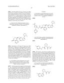 KINASE INHIBITORS diagram and image