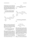 KINASE INHIBITORS diagram and image