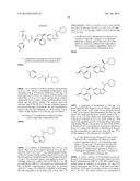 KINASE INHIBITORS diagram and image