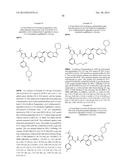 KINASE INHIBITORS diagram and image