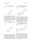 KINASE INHIBITORS diagram and image